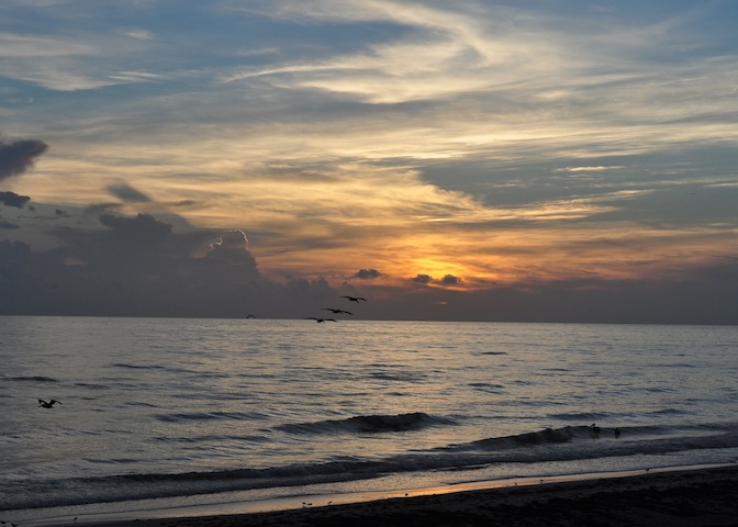 Creation: A Celebration of&nbsp;Life