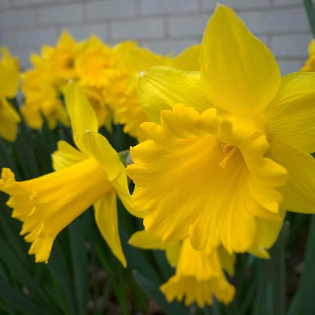 Praying Prayers and the Lord’s&nbsp;Prayer