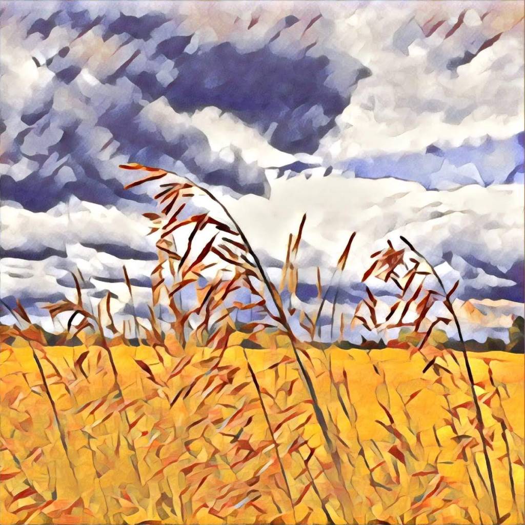 Planting A Seed Of&nbsp;Hope